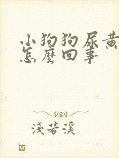 小狗狗尿黄尿是怎么回事