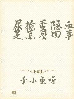 尿检查隐血十3是怎么回事?