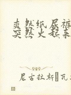 爽然纸尿裤怎么突然火起来了