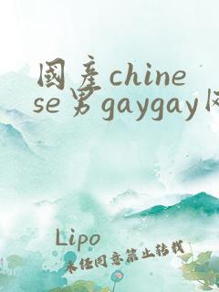 国产chinese男gaygay网站