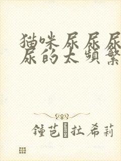 猫咪尿尿尿一点尿的太频繁怎么回事儿