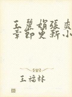 王丽娟张爽最新章节更新小说