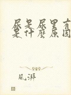 尿是尿里有隐血是什么原因