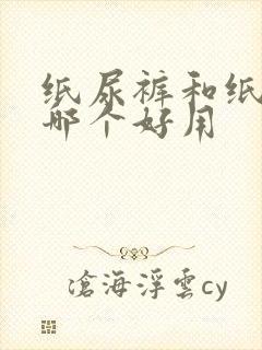 纸尿裤和纸尿片哪个好用