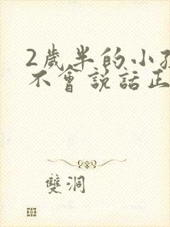 2岁半的小孩还不会说话正常吗