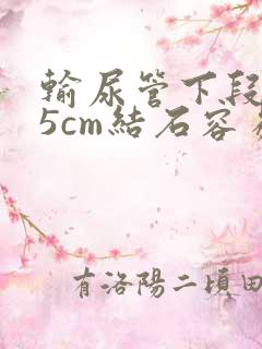 输尿管下段0.5cm结石容易排出吗