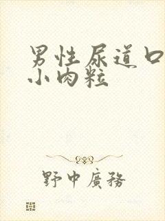 男性尿道口上长小肉粒