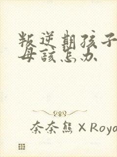 叛逆期孩子骂父母该怎办