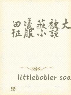 田曦薇被大肉楱征服小说