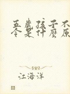 五岁孩子不听指令是什么原因