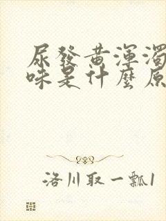 尿发黄浑浊有异味是什么原因造成的