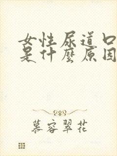 女性尿道口发痒是什么原因引起的