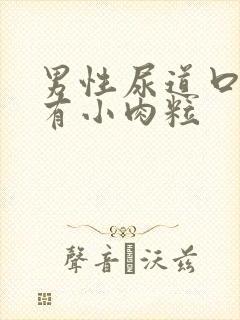 男性尿道口下方有小肉粒