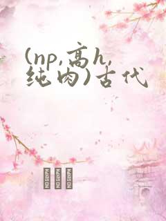 (np,高h,纯肉)古代
