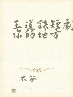 王道铁短剧去有你的地方