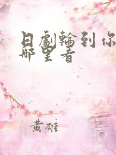 日剧轮到你了在哪里看