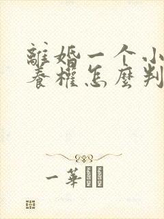 离婚一个小孩抚养权怎么判定