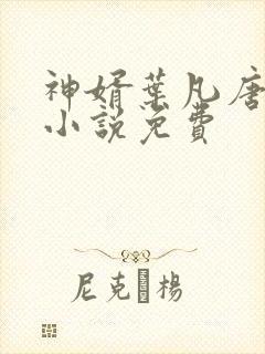 神婿叶凡唐若雪小说免费