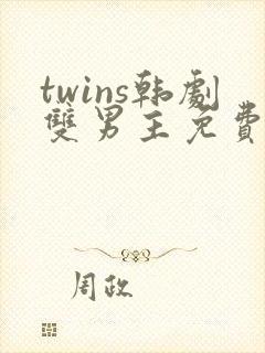 twins韩剧双男主免费观看