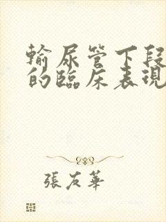 输尿管下段结石的临床表现