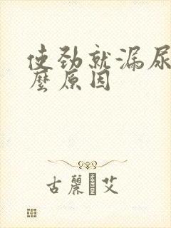 使劲就漏尿是什么原因