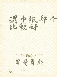 湿巾纸哪个牌子比较好