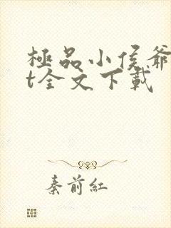 极品小侯爷txt全文下载