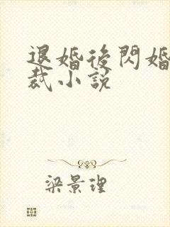 退婚后闪婚女总裁小说