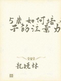 5岁如何培养孩子的注意力不集中