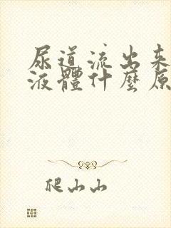 尿道流出来白色液体什么原因