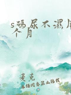 s码尿不湿用几个月