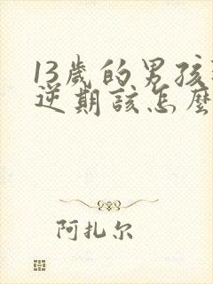 13岁的男孩叛逆期该怎么办