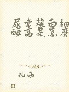 尿常规白细胞酯酶高是怎么回事