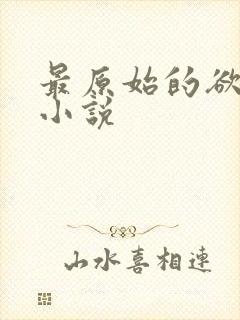 最原始的欲望h小说