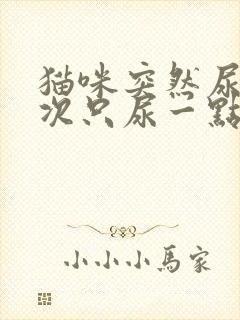 猫咪突然尿频每次只尿一点