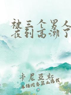 被三个男人躁一夜到高潮了