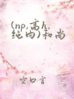 (np,高h,纯肉)和尚