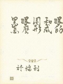 黑眼圈和眼袋是怎么形成的呢?