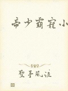 帝少霸宠小甜妻