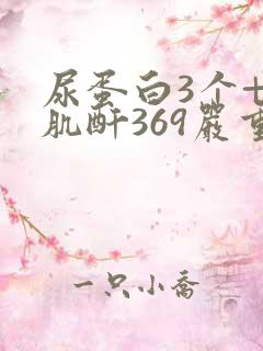 尿蛋白3个+ 肌酐369严重吗