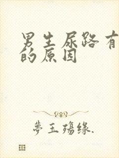 男生尿路有感染的原因