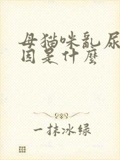 母猫咪乱尿的原因是什么