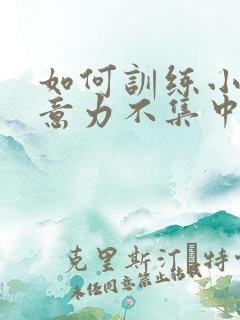 如何训练小孩注意力不集中