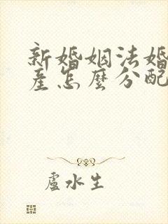 新婚姻法婚前财产怎么分配