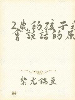 2岁的孩子还不会说话的原因