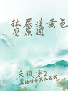 拉尿淡黄色是什么原因