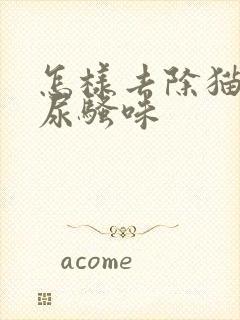 怎样去除猫咪的尿骚味