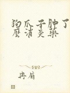 狗爪子肿了吃什么消炎药