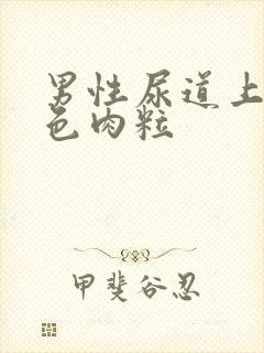 男性尿道上有白色肉粒