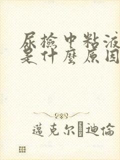 尿检中粘液丝高是什么原因